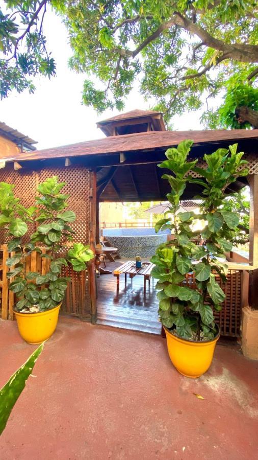 Mansion Colonial Dona Elvina Otel Santo Domingo Dış mekan fotoğraf